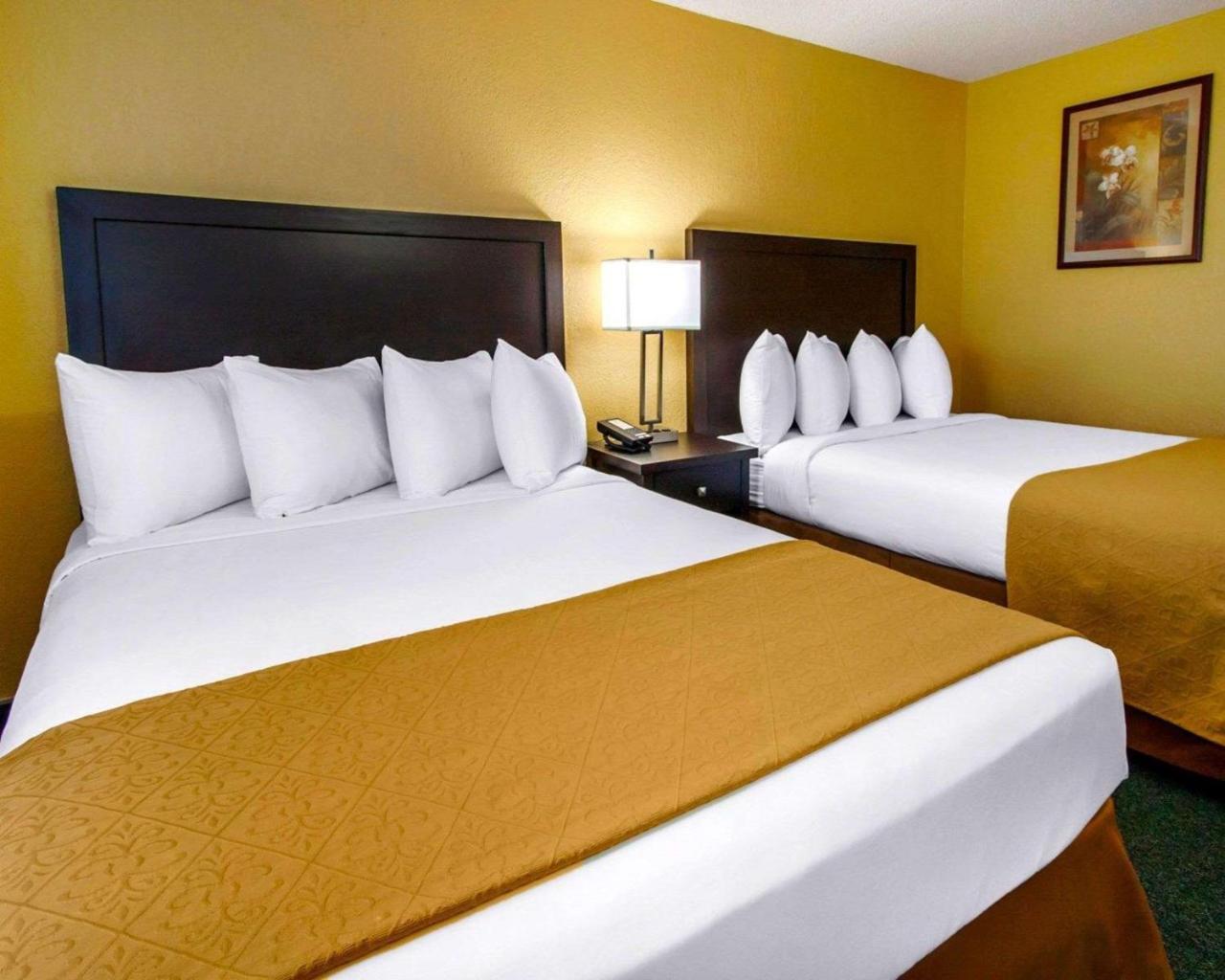 Quality Inn & Suites Springfield Exterior foto